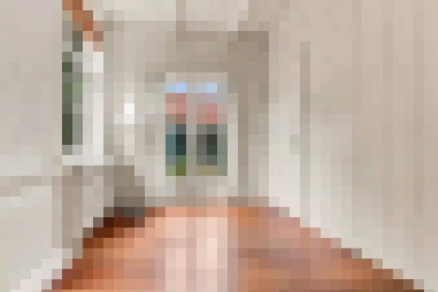 Nieuwe Vaartkade 1 Zaandijk thumbnail 9
