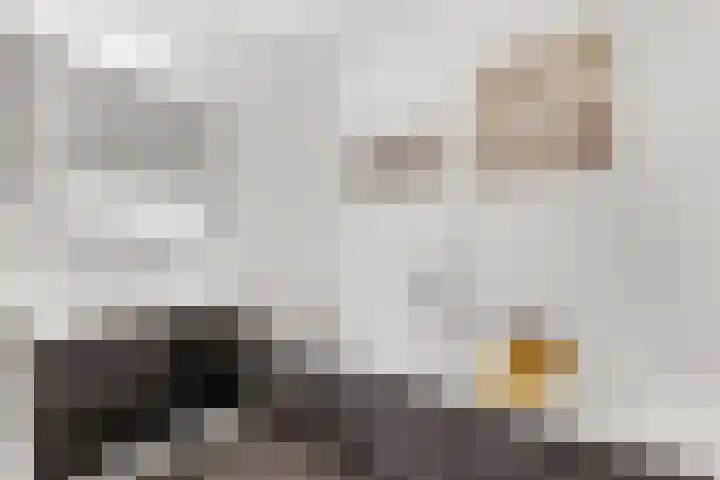 Nieuwe Veenendaalseweg 1 A Rhenen thumbnail 15