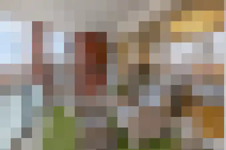 Nieuwe Veenendaalseweg 1 A Rhenen thumbnail 17