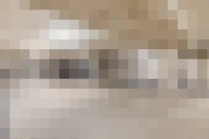 Nieuwe Veenendaalseweg 1 A Rhenen thumbnail 21