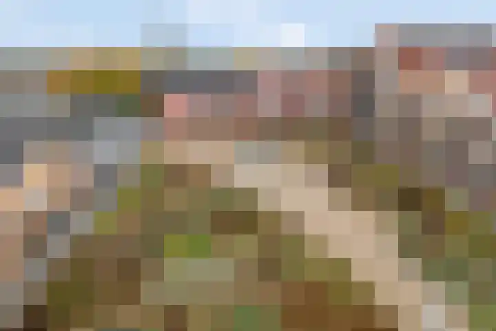 Nieuwe Veenendaalseweg 1 A Rhenen thumbnail 23