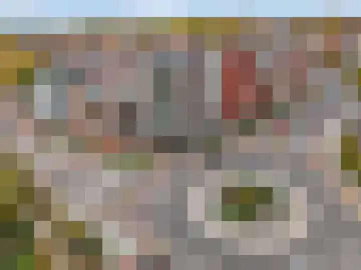Nieuwe Veenendaalseweg 1 A Rhenen thumbnail 27