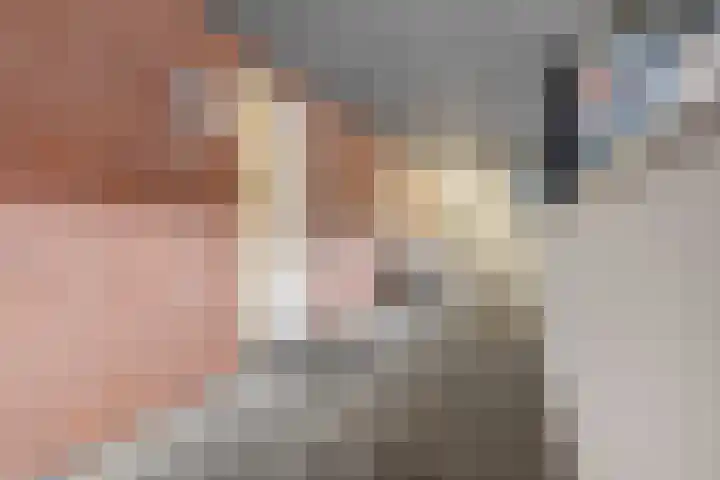 Nieuwe Veenendaalseweg 1 A Rhenen thumbnail 6