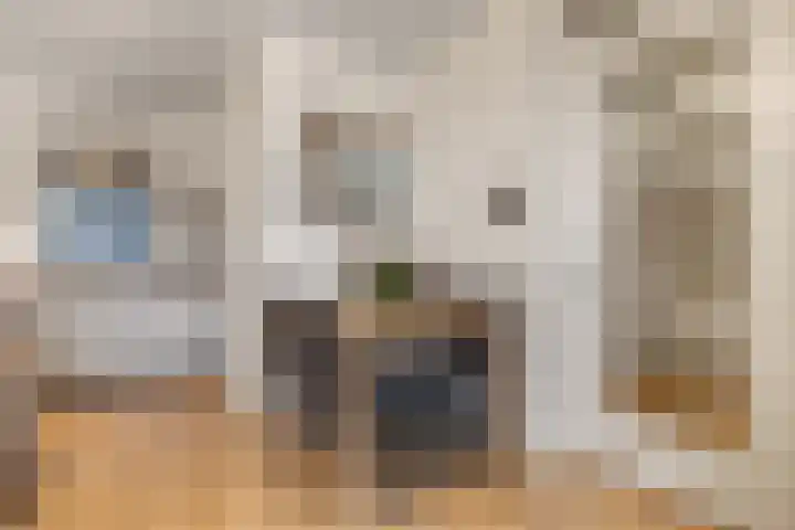 Nieuwe Veenendaalseweg 1 A Rhenen thumbnail 9