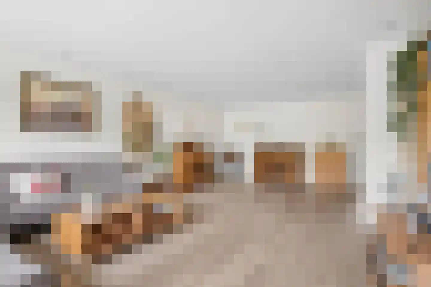 Nieuwe Veenendaalseweg 118 Rhenen thumbnail 10