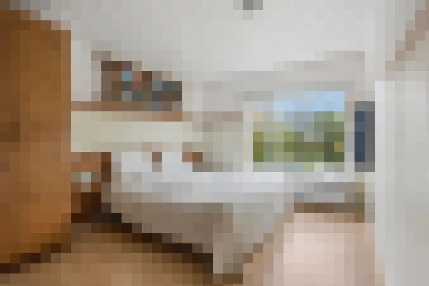 Nieuwe Veenendaalseweg 118 Rhenen thumbnail 18