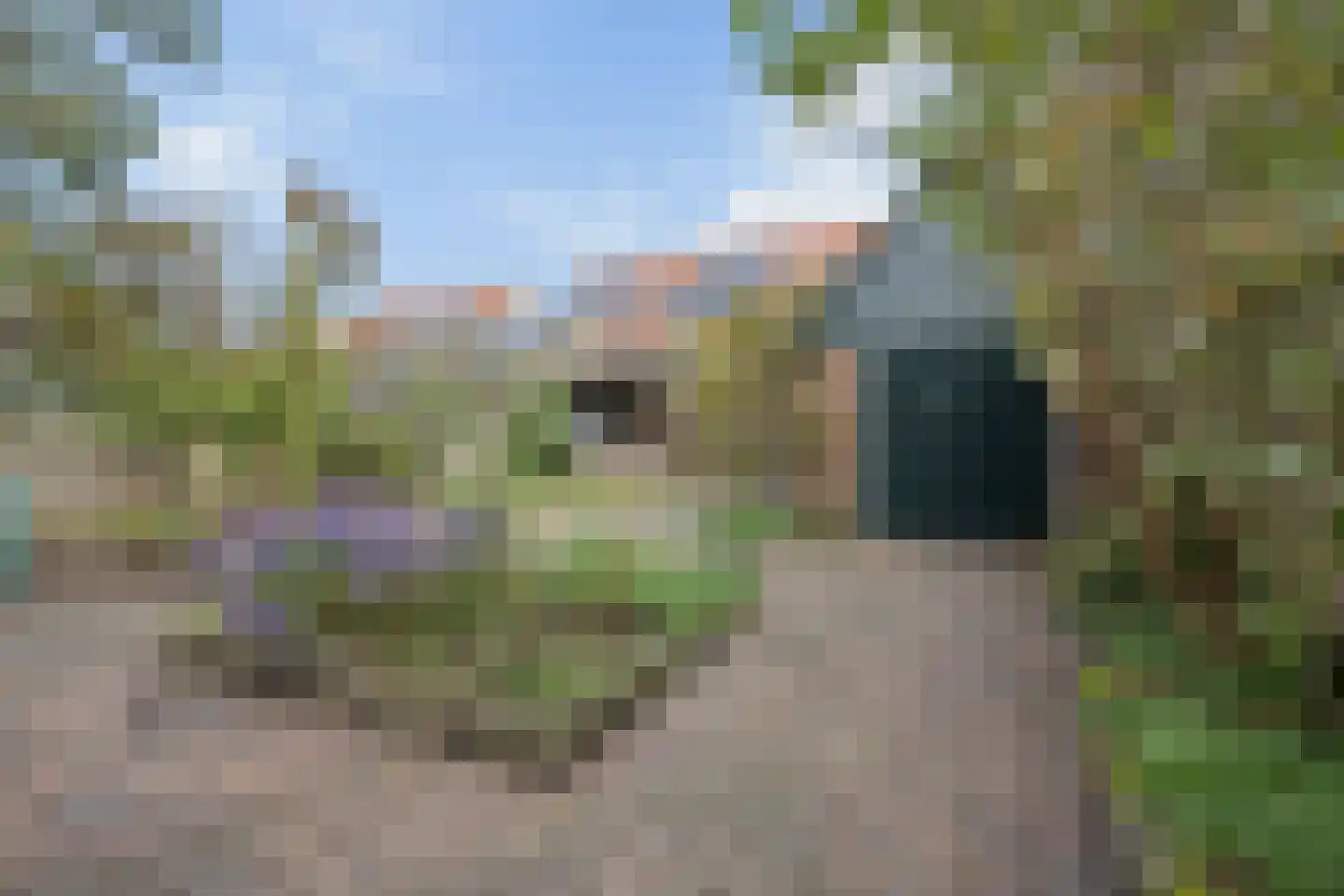 Nieuwe Veenendaalseweg 118 Rhenen thumbnail 29
