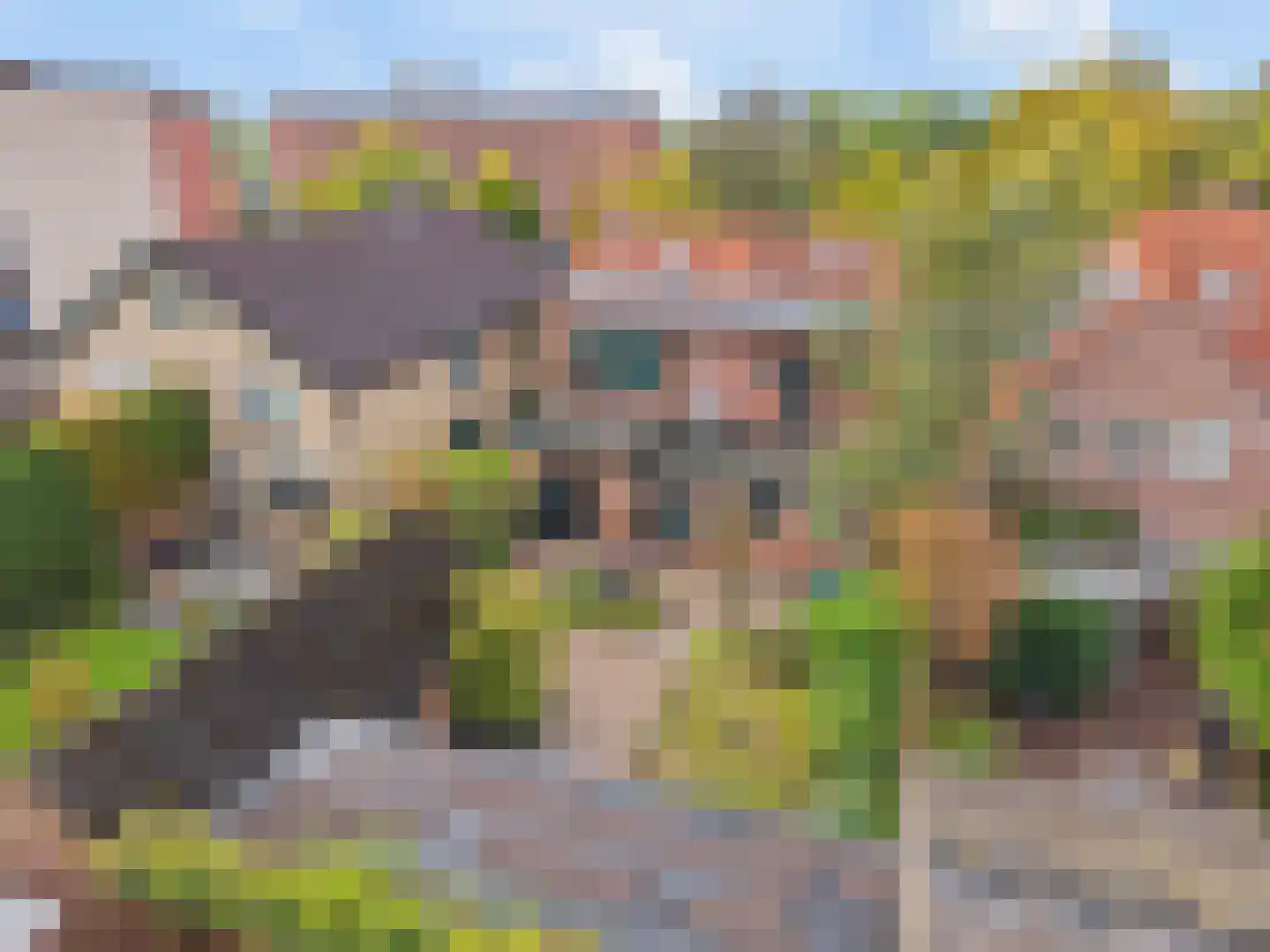 Nieuwe Veenendaalseweg 118 Rhenen thumbnail 32