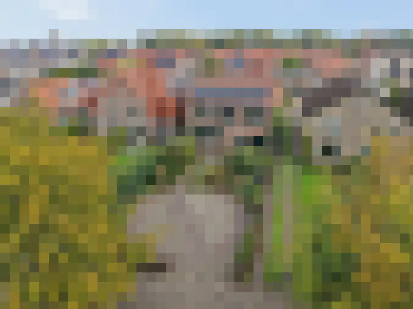 Nieuwe Veenendaalseweg 118 Rhenen thumbnail 33