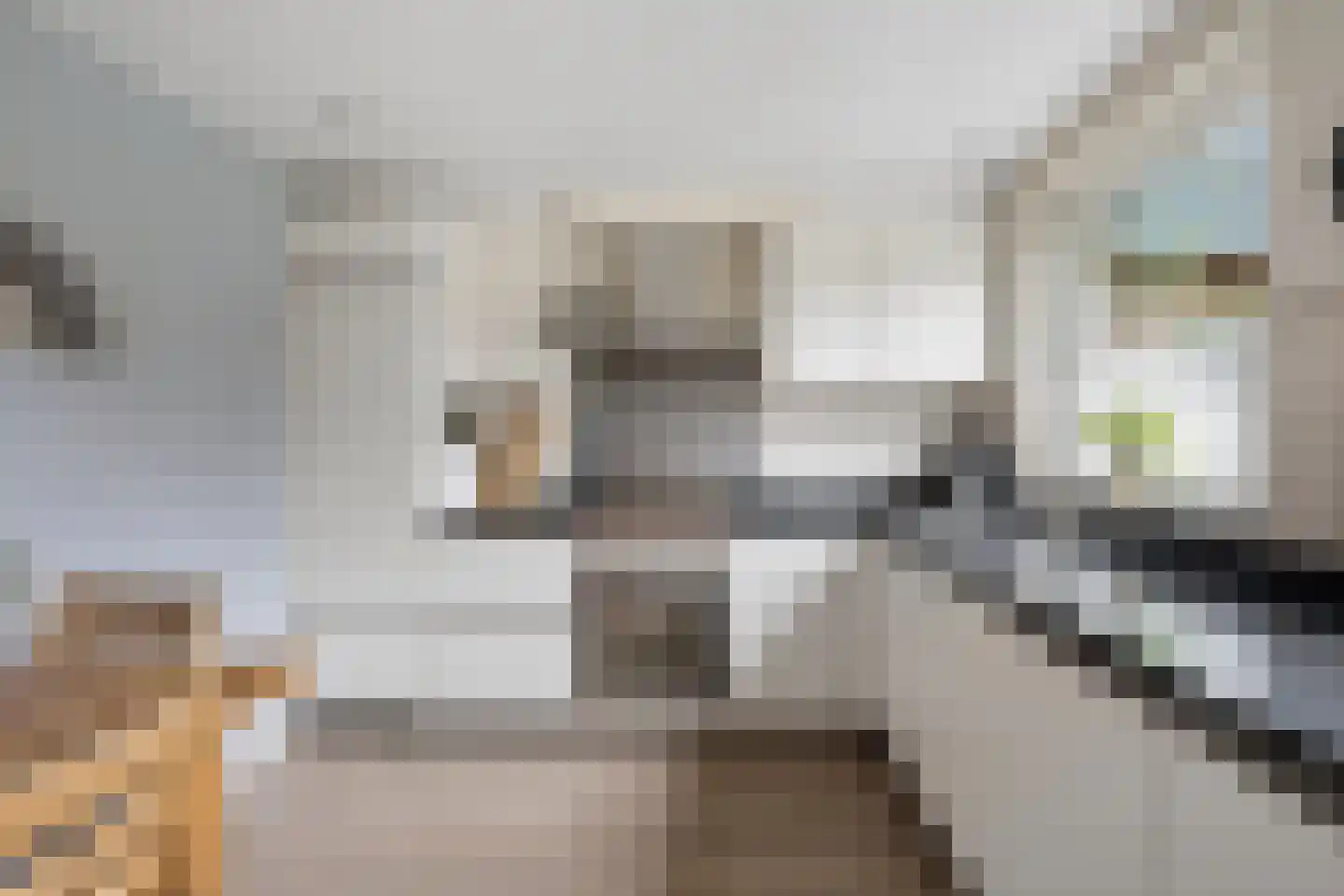 Nieuwe Veenendaalseweg 118 Rhenen thumbnail 4