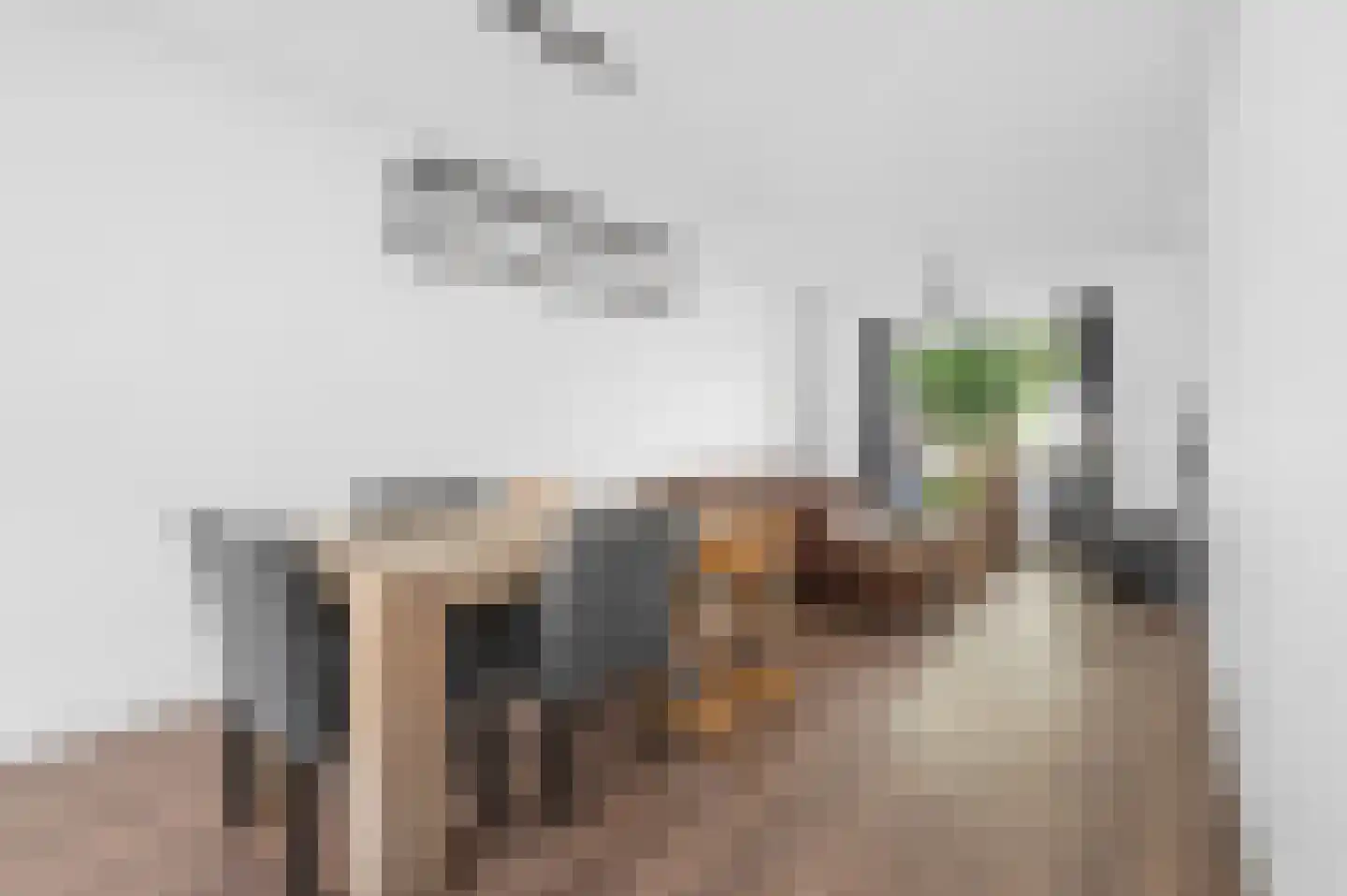 Nieuwe Veenendaalseweg 12 Rhenen thumbnail 10