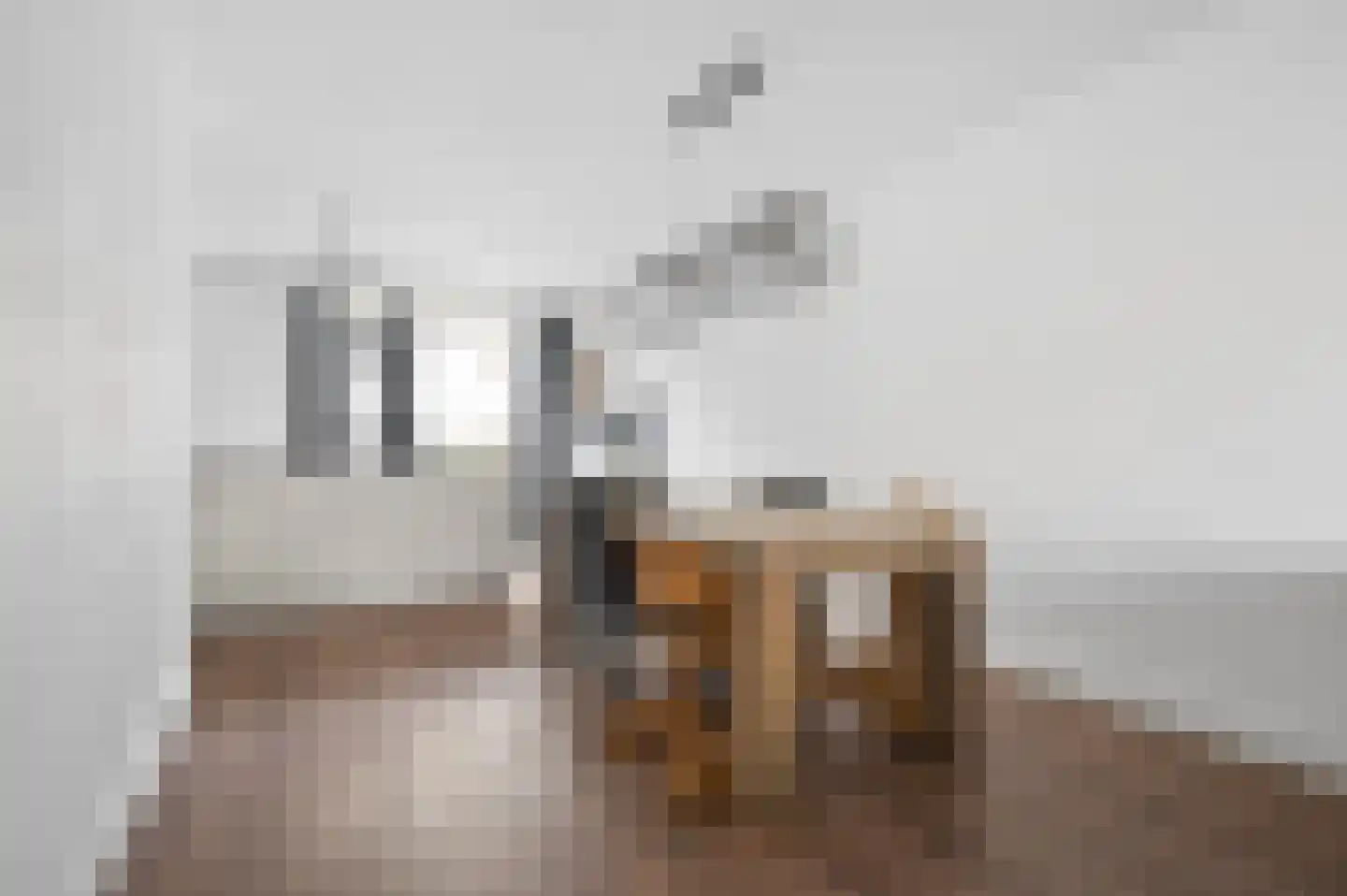 Nieuwe Veenendaalseweg 12 Rhenen thumbnail 11