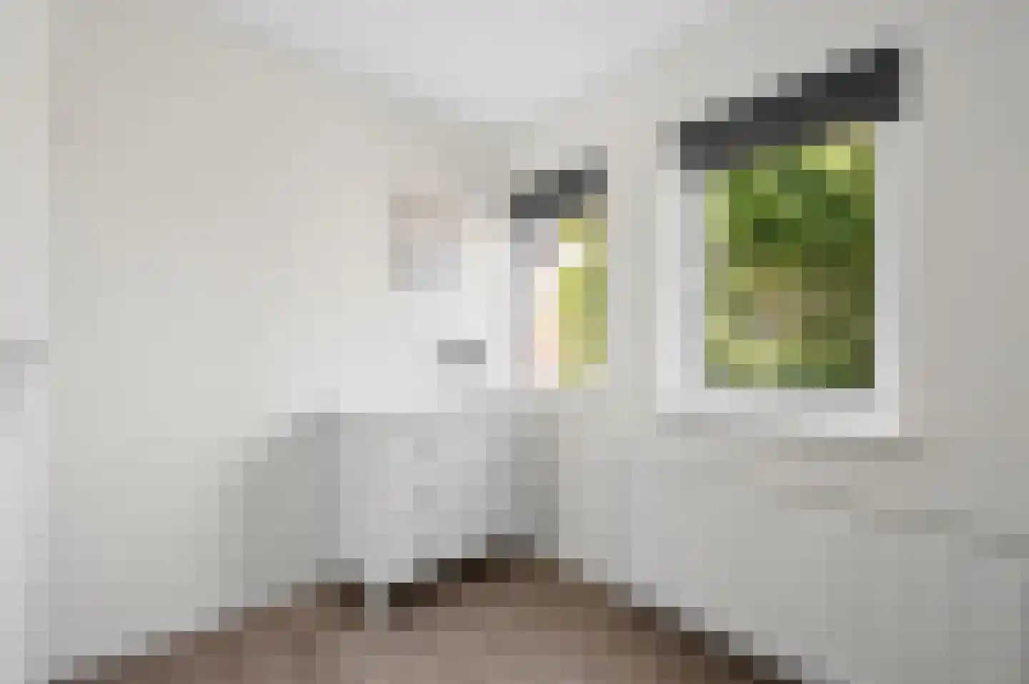 Nieuwe Veenendaalseweg 12 Rhenen thumbnail 20
