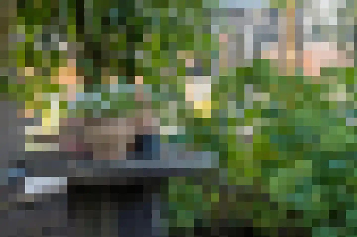 Nieuwe Veenendaalseweg 12 Rhenen thumbnail 25