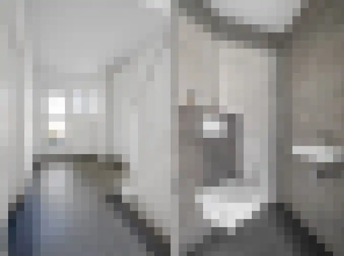 Nieuwe Veenendaalseweg 12 Rhenen thumbnail 8