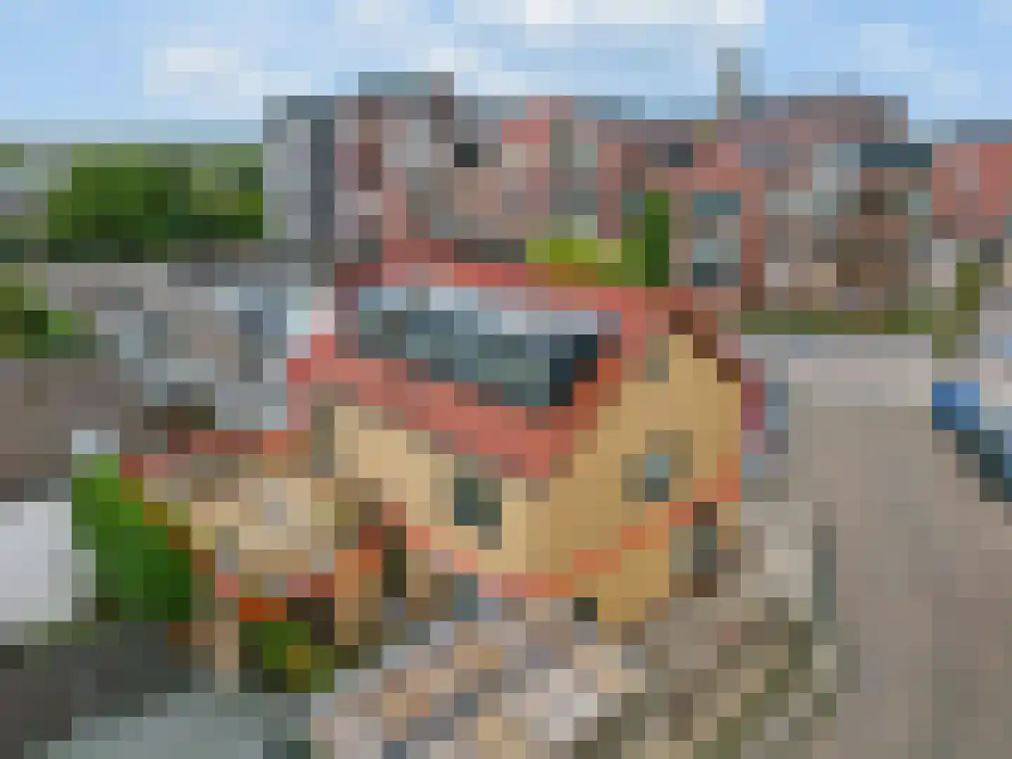 Nieuwe Veenendaalseweg 14 A in Rhenen