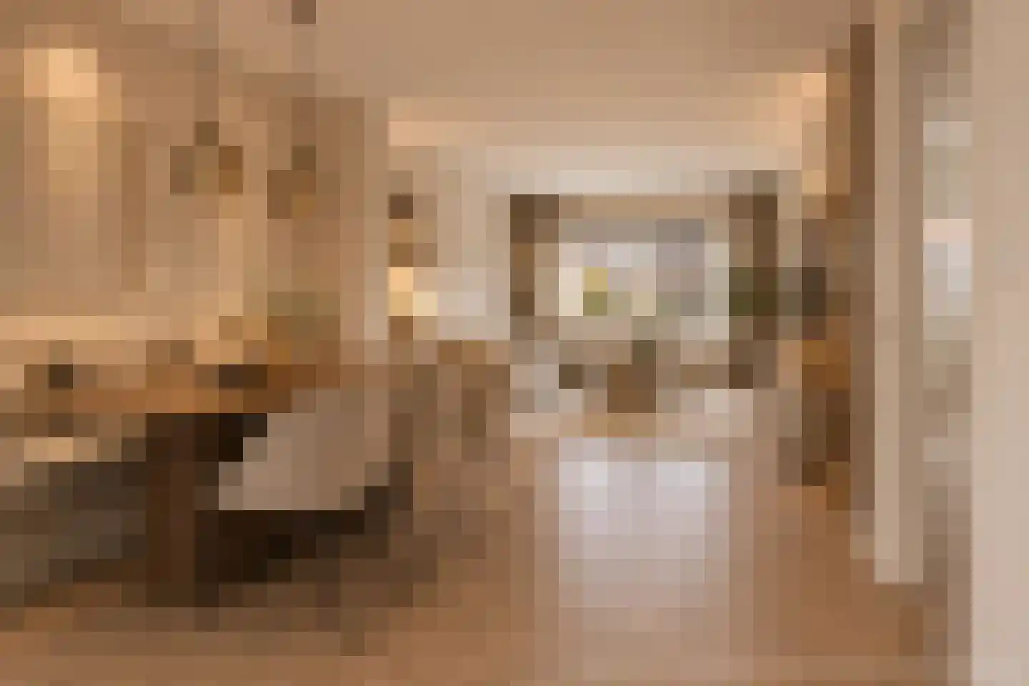 Nieuwe Veenendaalseweg 14 A Rhenen thumbnail 13