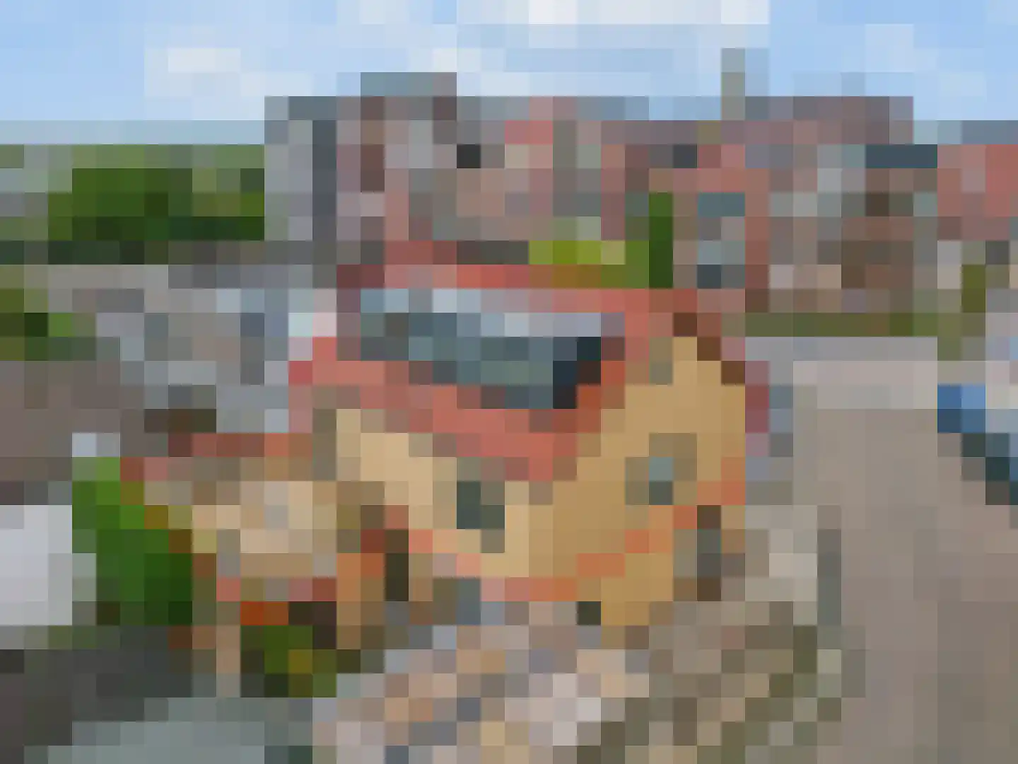 Nieuwe Veenendaalseweg 14 A Rhenen foto 2