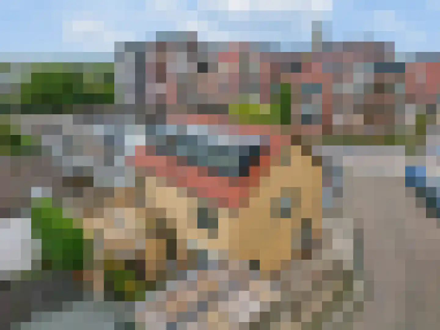 Nieuwe Veenendaalseweg 14 A Rhenen thumbnail 33