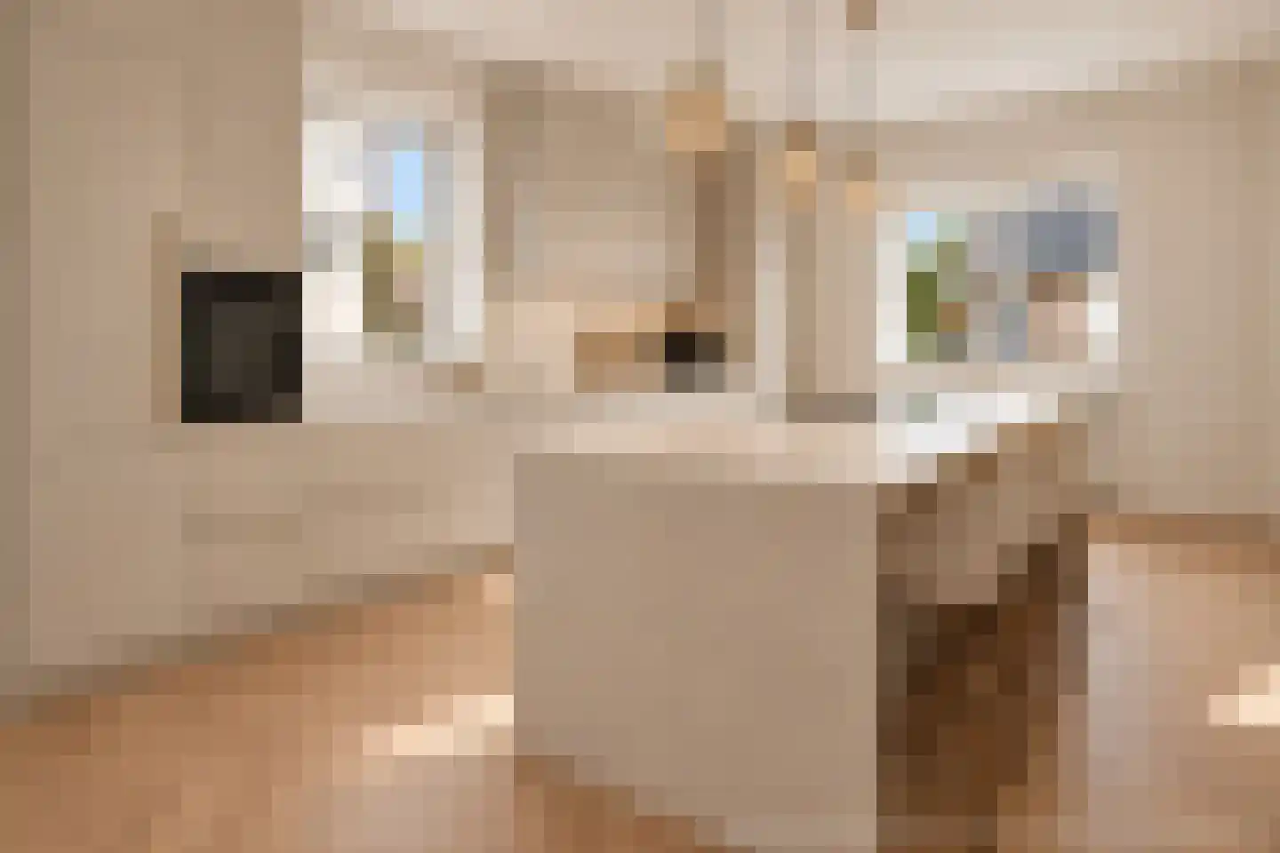 Nieuwe Veenendaalseweg 14 A Rhenen thumbnail 9