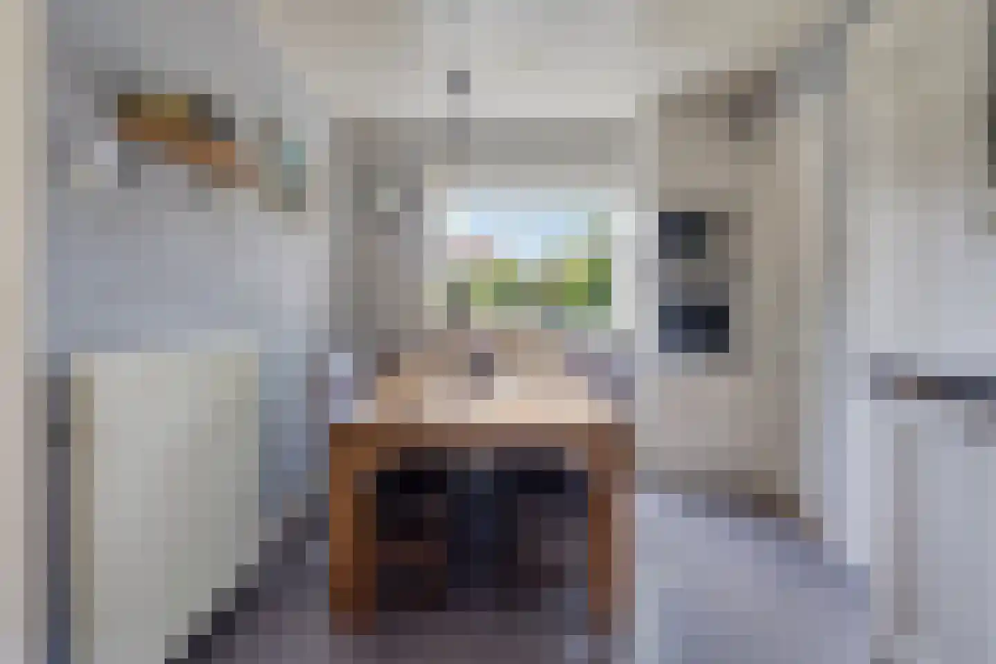 Nieuwe Veenendaalseweg 175 Rhenen thumbnail 12