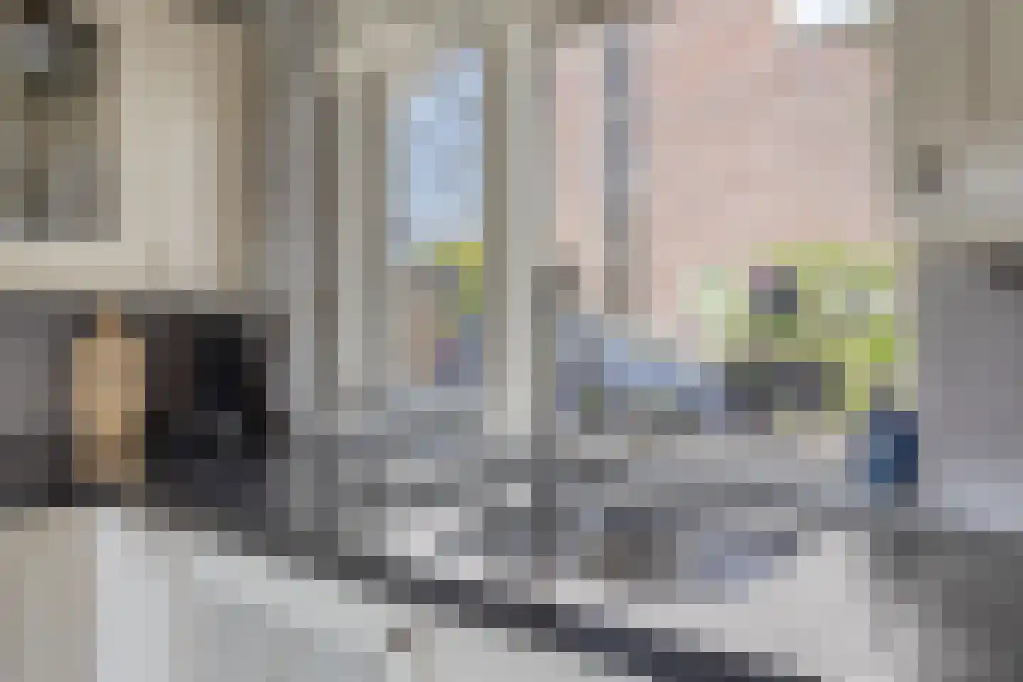 Nieuwe Veenendaalseweg 175 Rhenen thumbnail 14