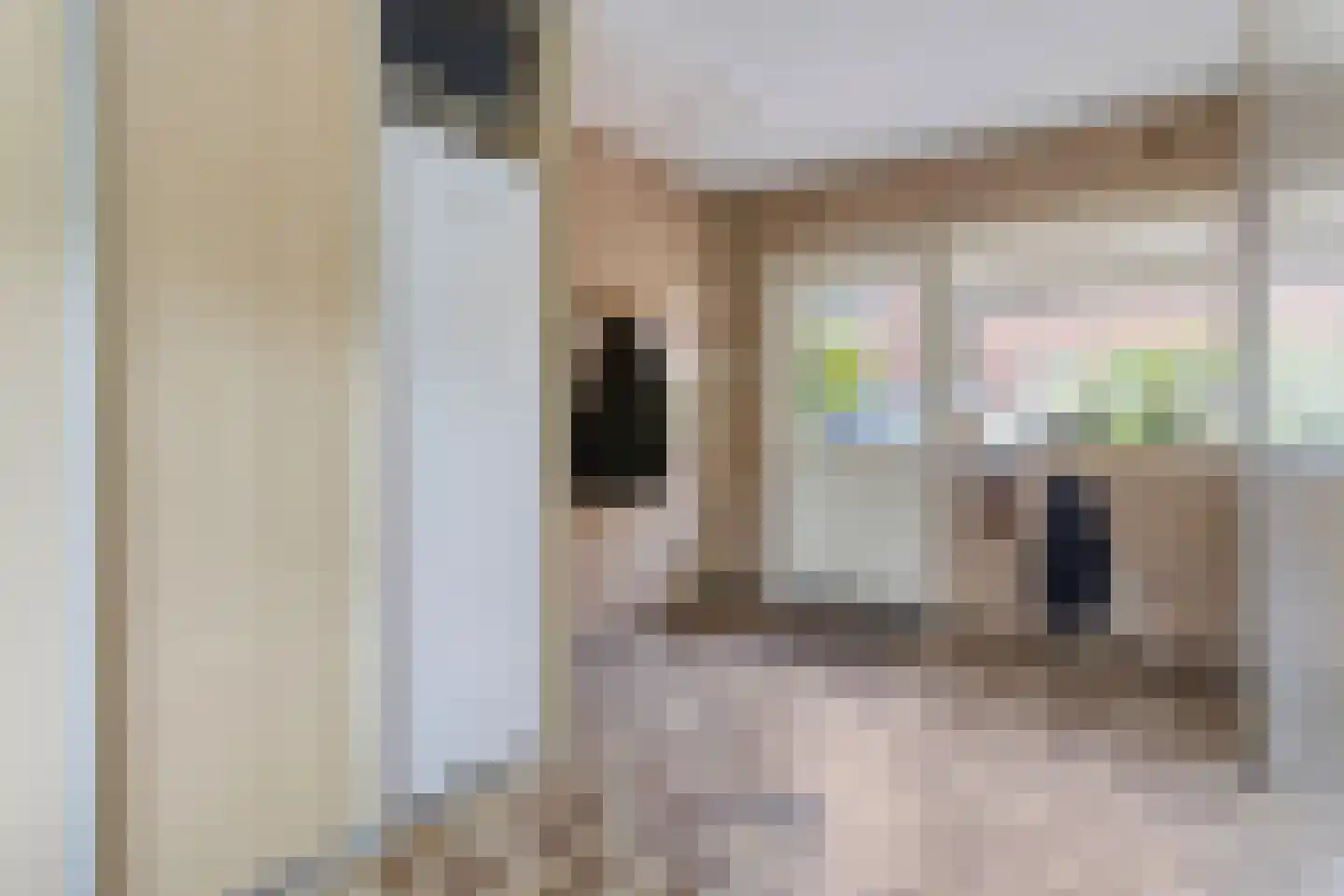 Nieuwe Veenendaalseweg 175 Rhenen thumbnail 17
