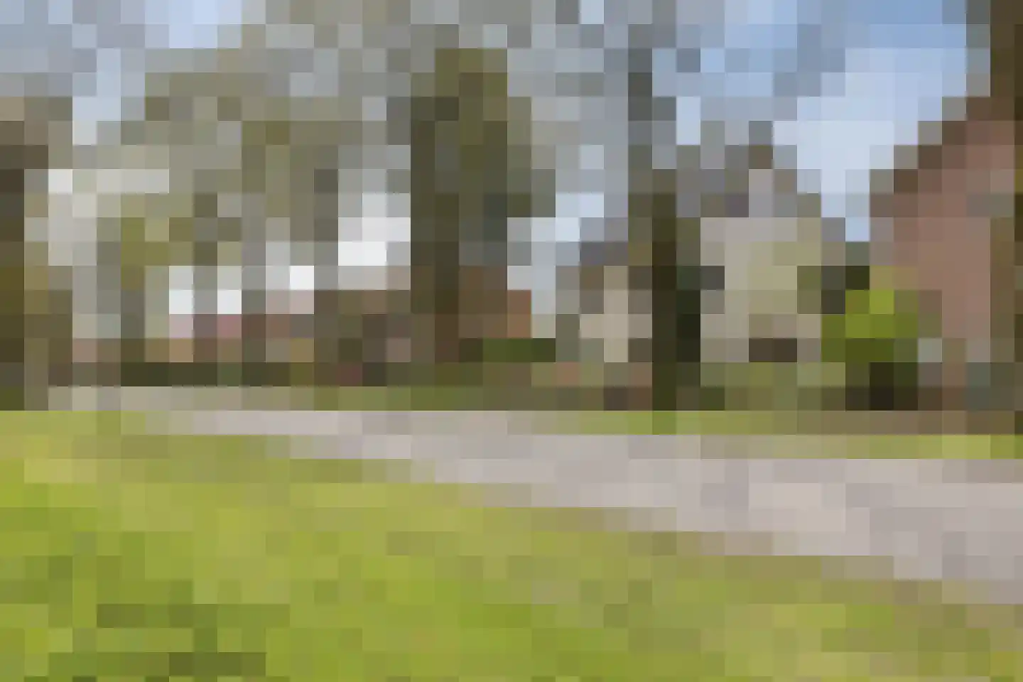 Nieuwe Veenendaalseweg 175 Rhenen foto 2
