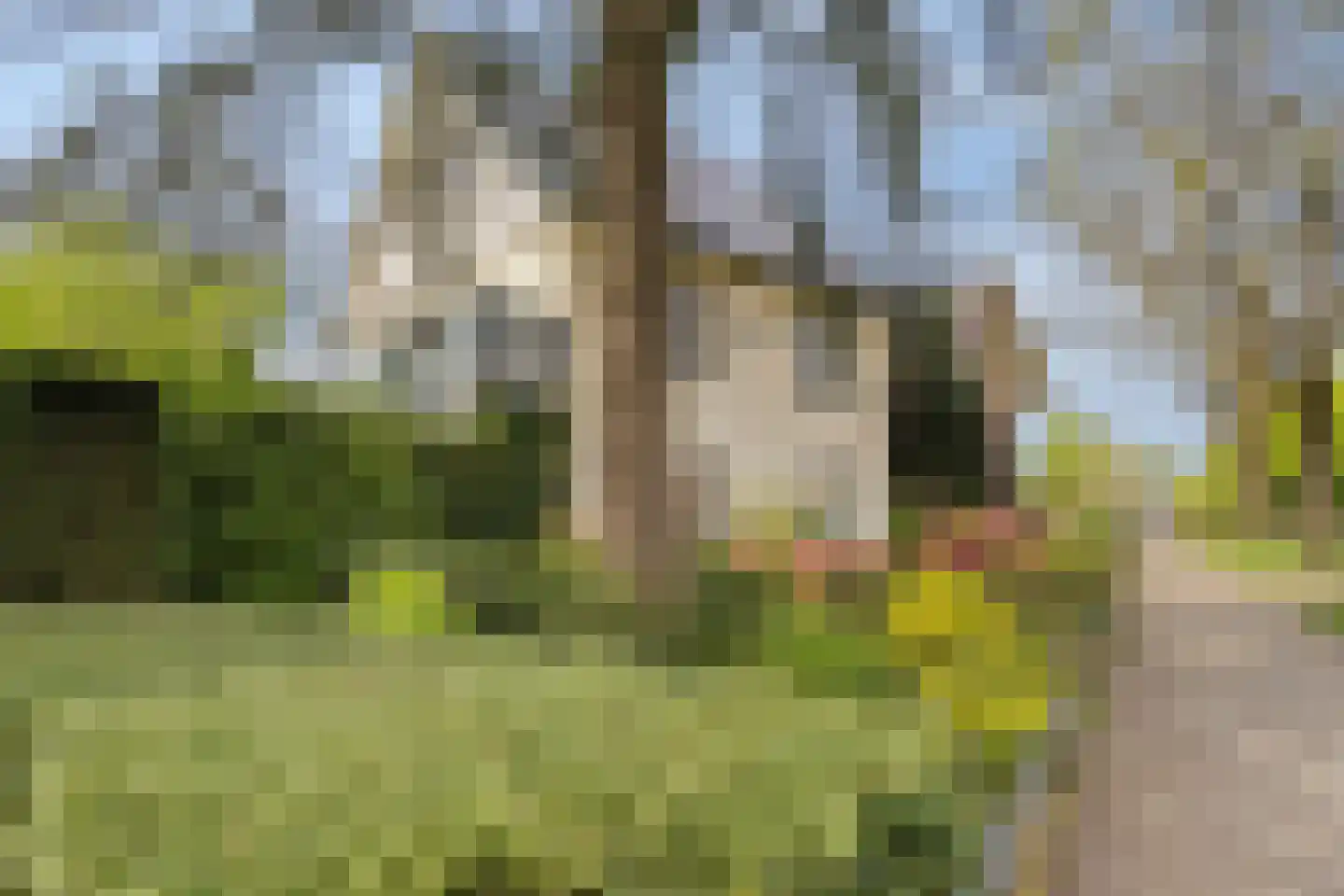 Nieuwe Veenendaalseweg 175 Rhenen thumbnail 39