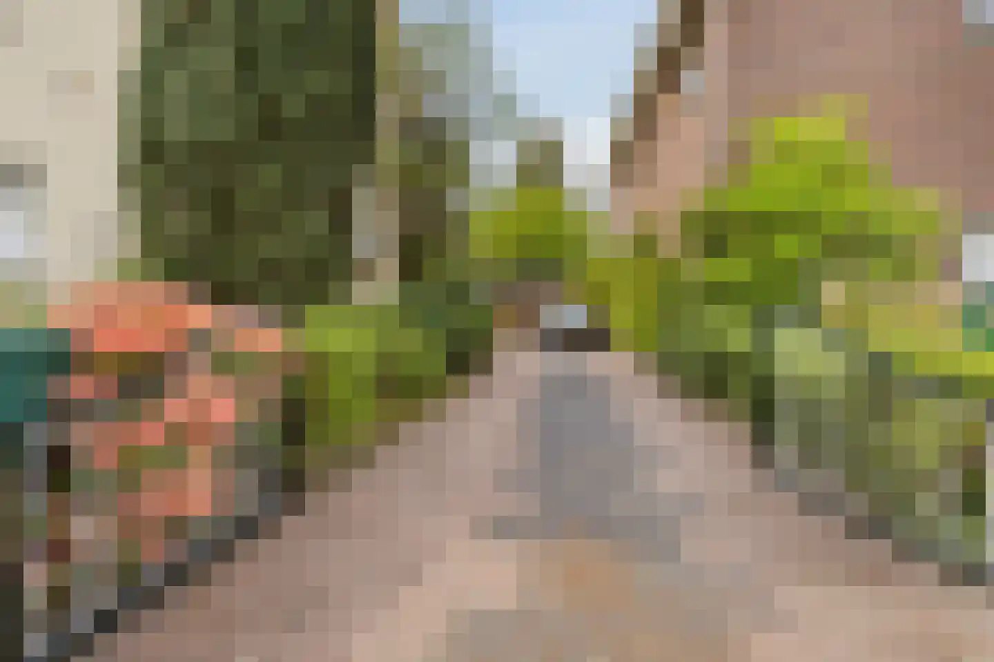 Nieuwe Veenendaalseweg 175 Rhenen thumbnail 41