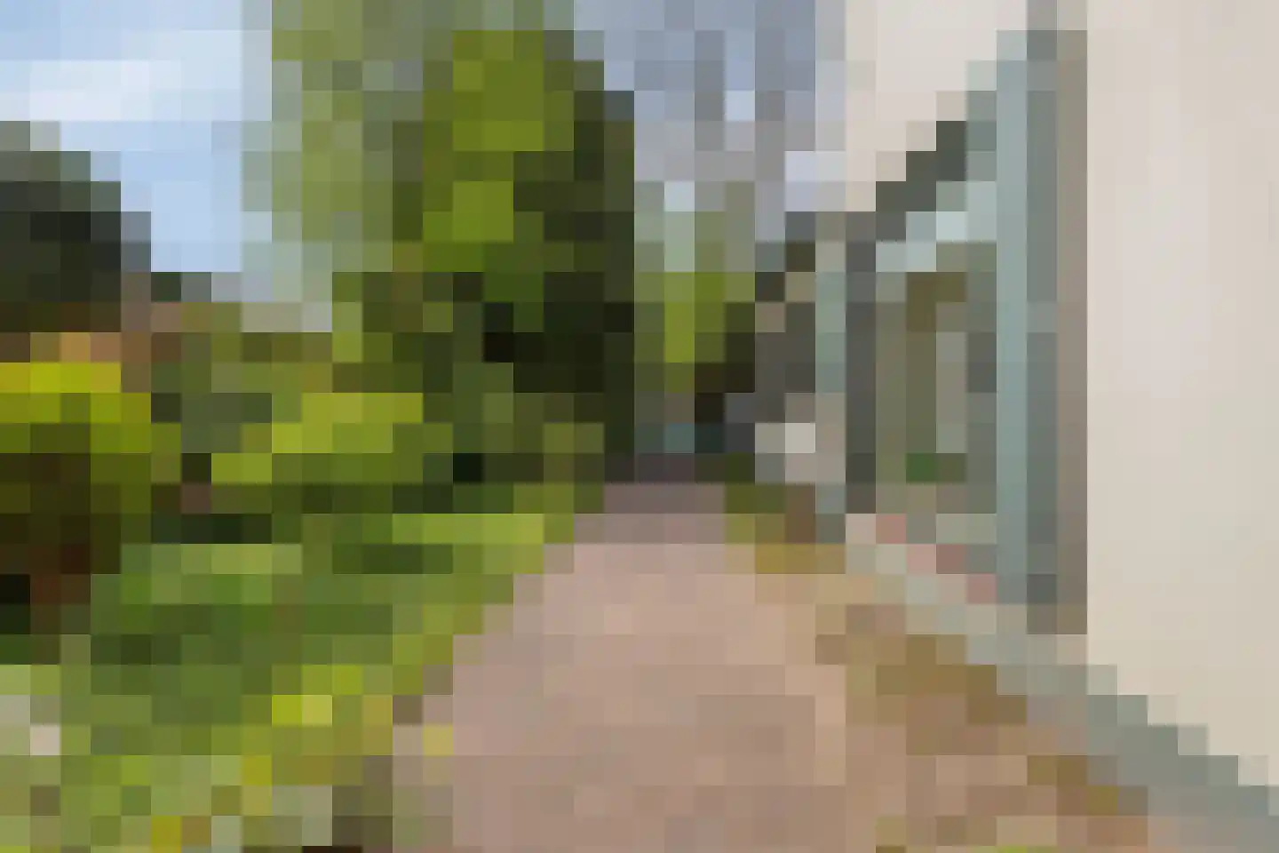 Nieuwe Veenendaalseweg 175 Rhenen thumbnail 47