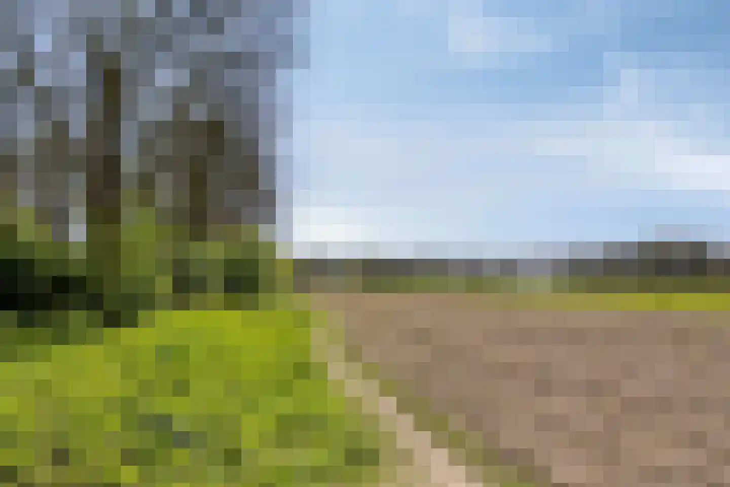 Nieuwe Veenendaalseweg 175 Rhenen thumbnail 58