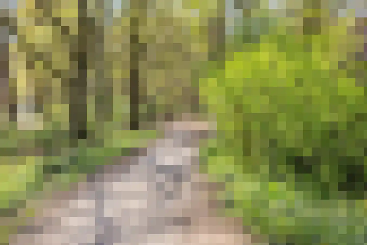 Nieuwe Veenendaalseweg 175 Rhenen thumbnail 59