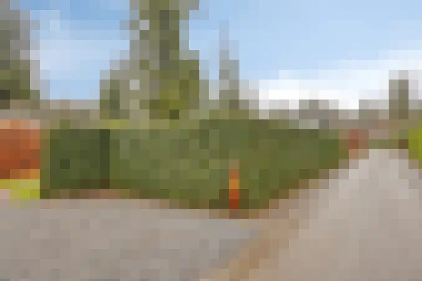 Nieuwe Veenendaalseweg 229 12 Rhenen thumbnail 29