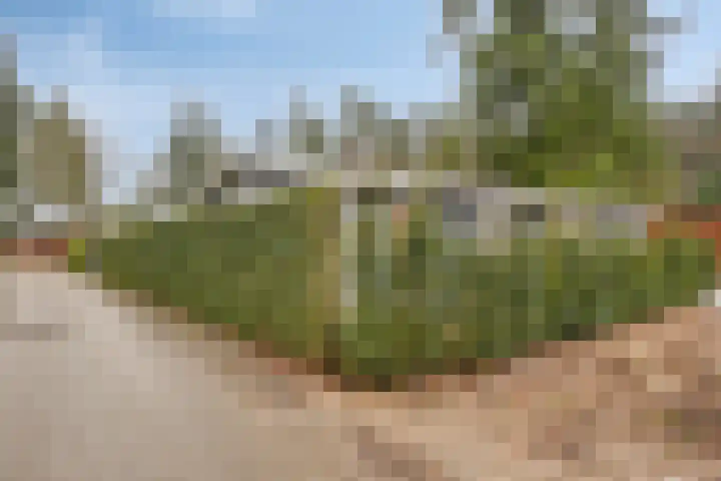 Nieuwe Veenendaalseweg 229 12 Rhenen thumbnail 31