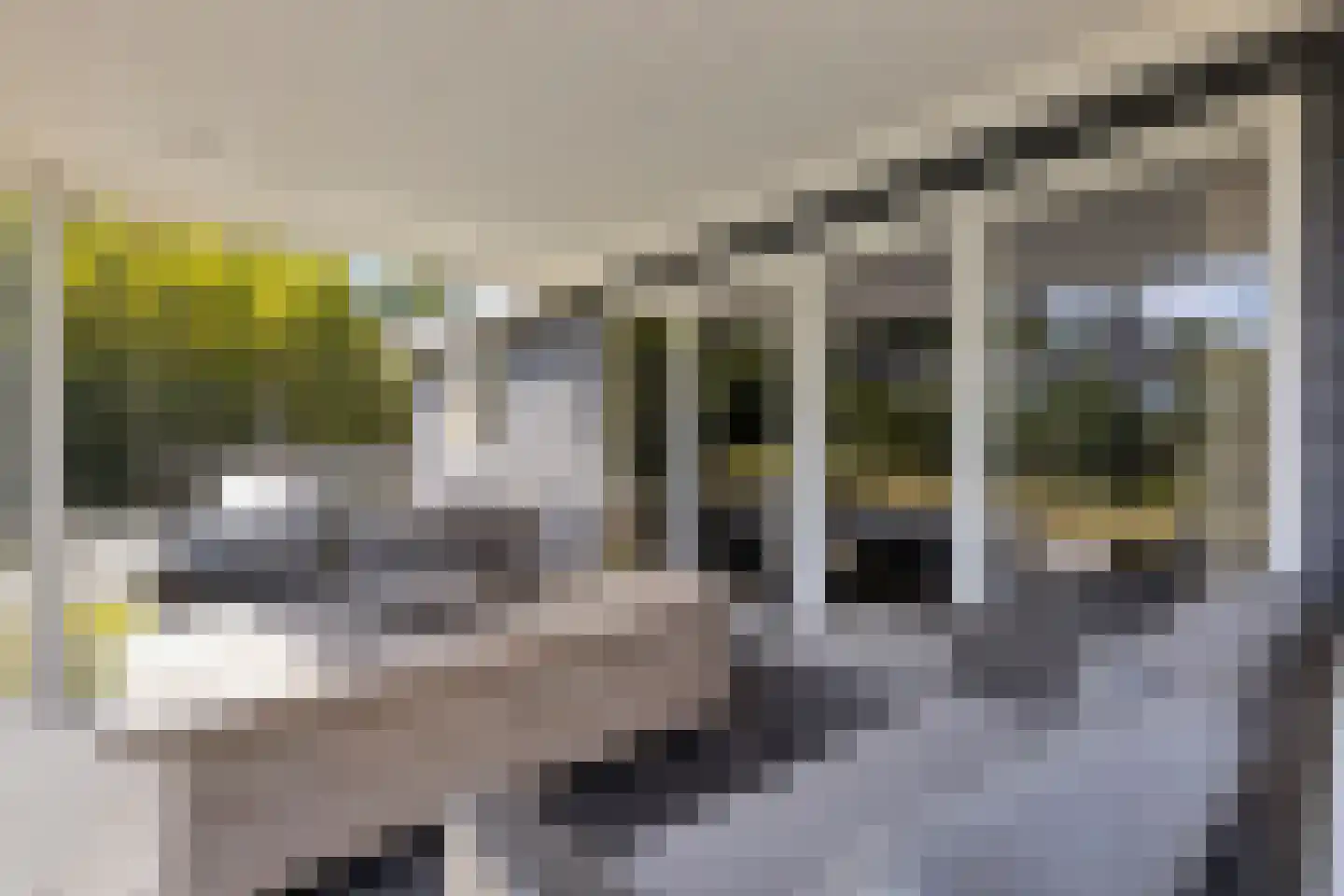Nieuwe Veenendaalseweg 229 128 Rhenen thumbnail 20