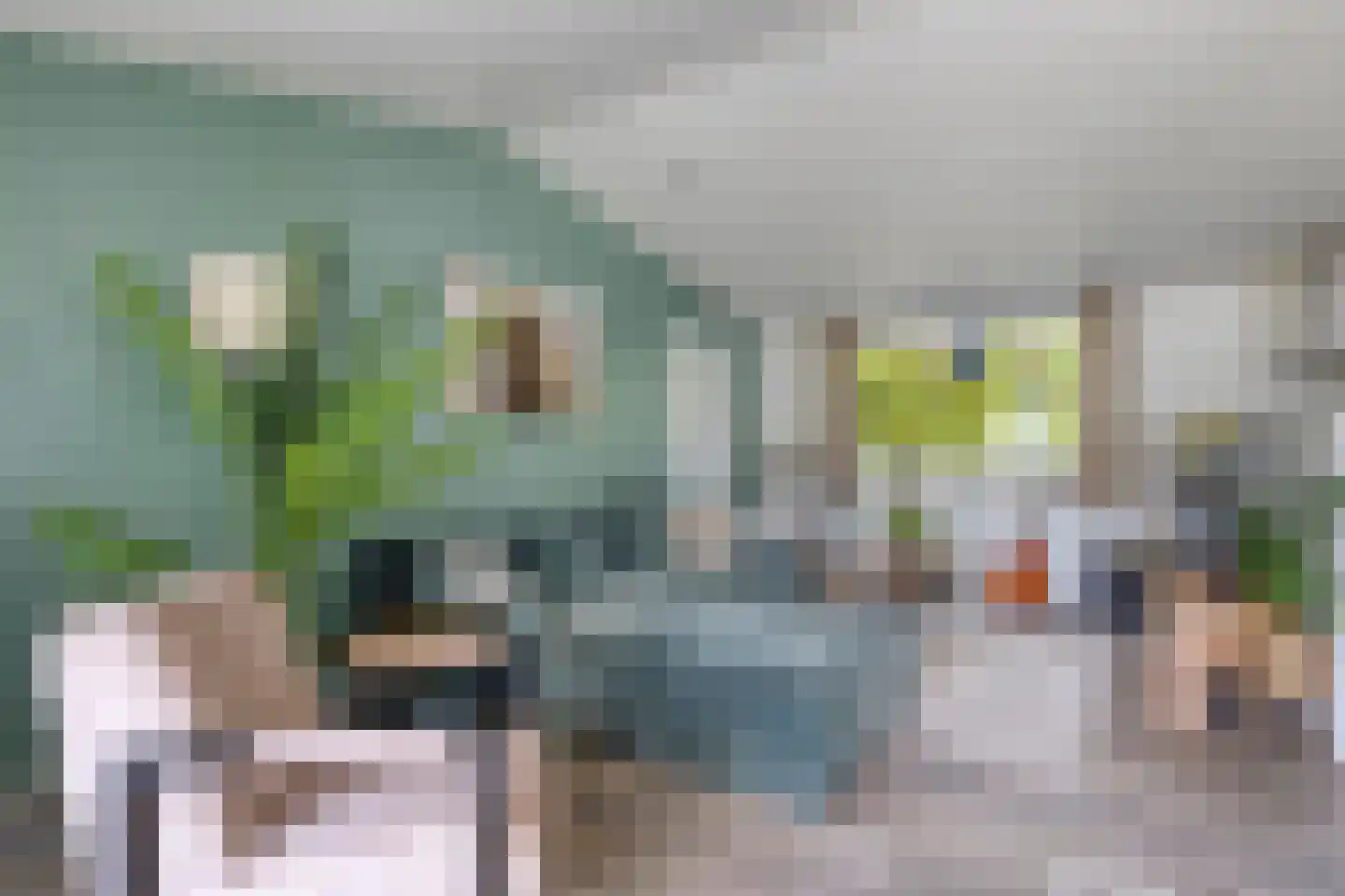 Nieuwe Veenendaalseweg 229 128 Rhenen thumbnail 6