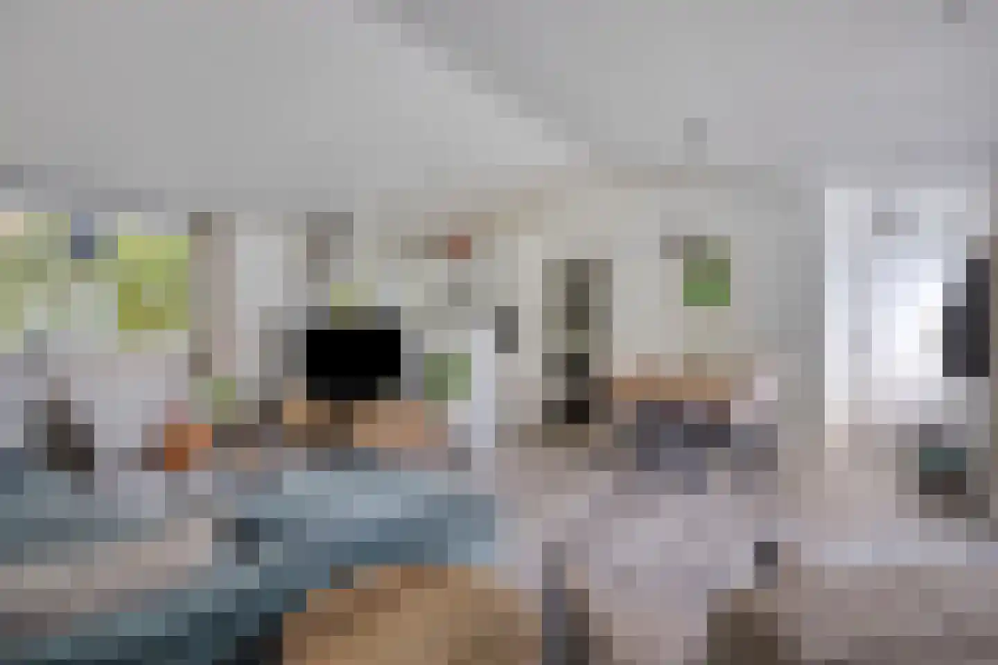 Nieuwe Veenendaalseweg 229 128 Rhenen thumbnail 8