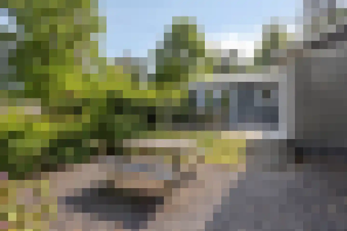 Nieuwe Veenendaalseweg 229 156 Rhenen thumbnail 18