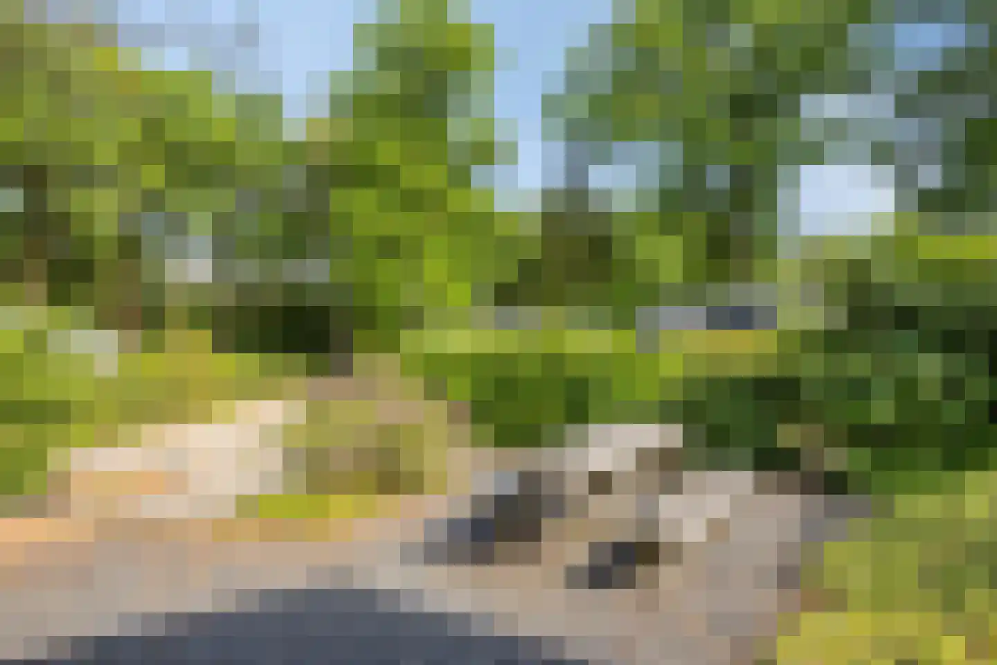 Nieuwe Veenendaalseweg 229 156 Rhenen thumbnail 20