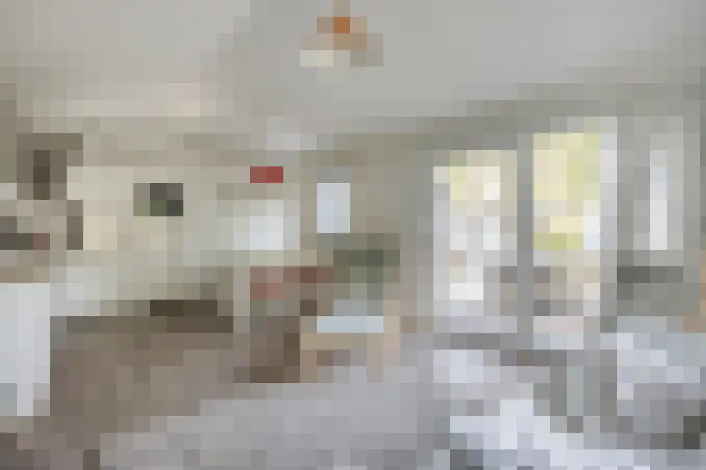 Nieuwe Veenendaalseweg 229 156 Rhenen thumbnail 8