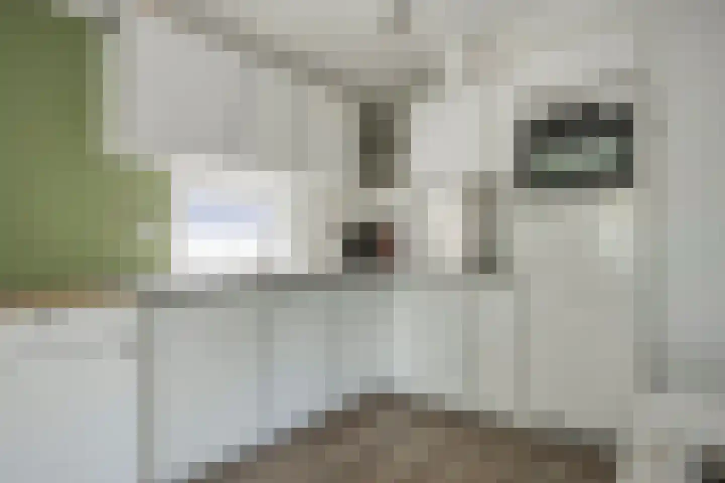 Nieuwe Veenendaalseweg 229 156 Rhenen thumbnail 9