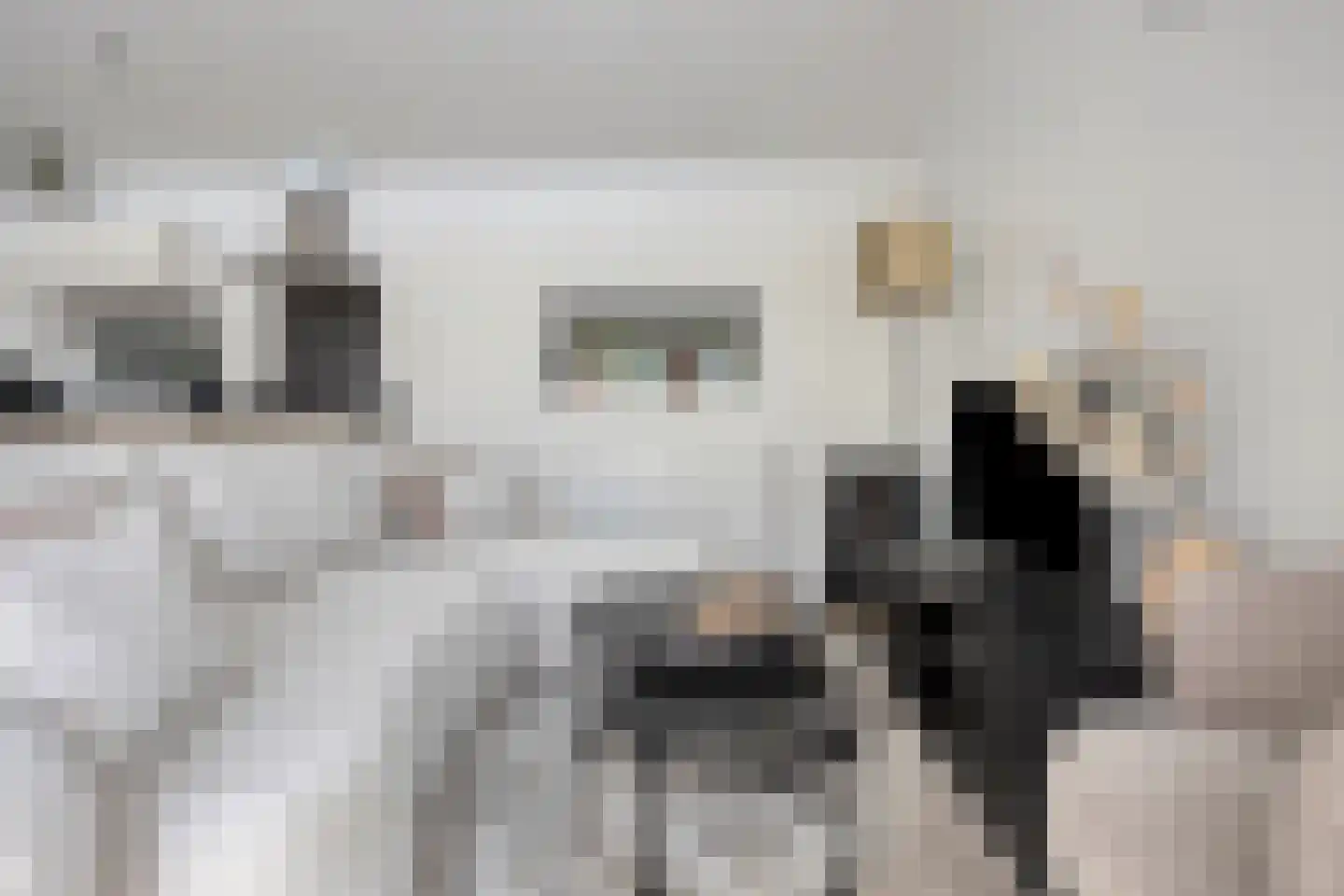 Nieuwe Veenendaalseweg 229 192 Rhenen thumbnail 7
