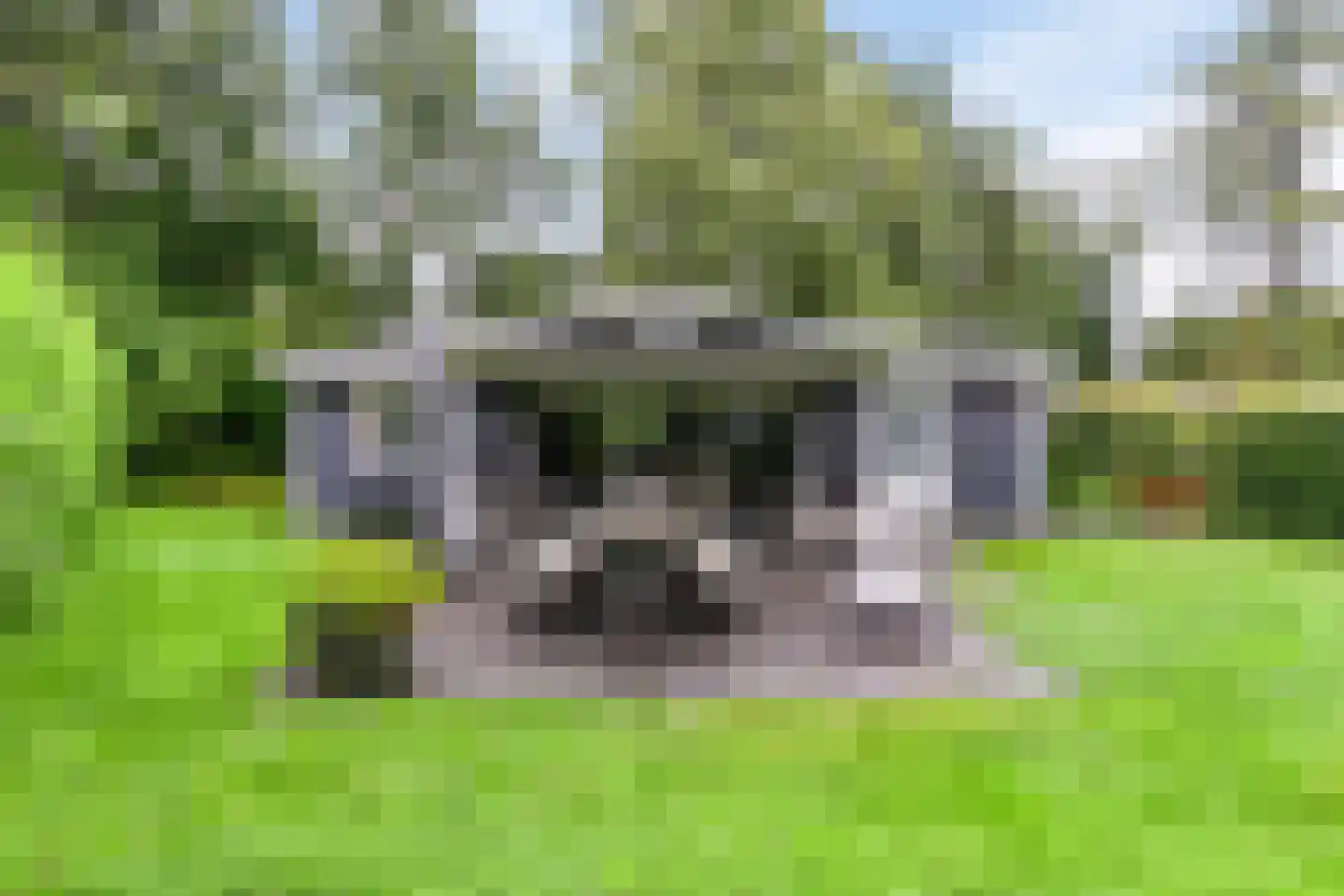 Nieuwe Veenendaalseweg 229 A2 Rhenen thumbnail 18
