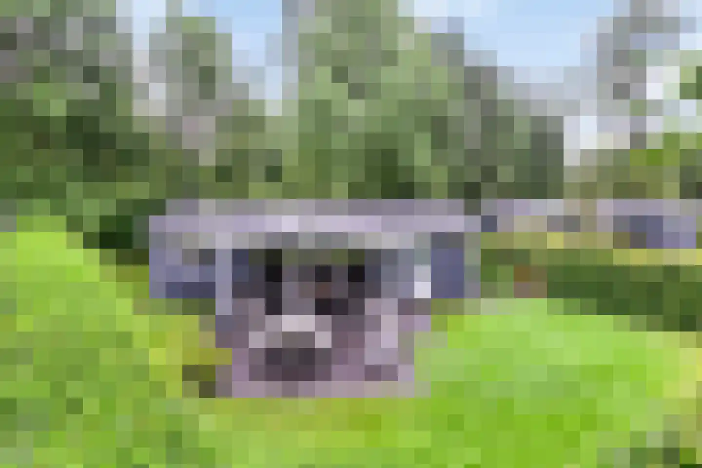 Nieuwe Veenendaalseweg 229 A2 Rhenen thumbnail 5