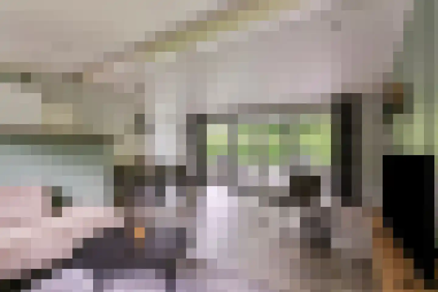 Nieuwe Veenendaalseweg 229 A2 Rhenen thumbnail 6
