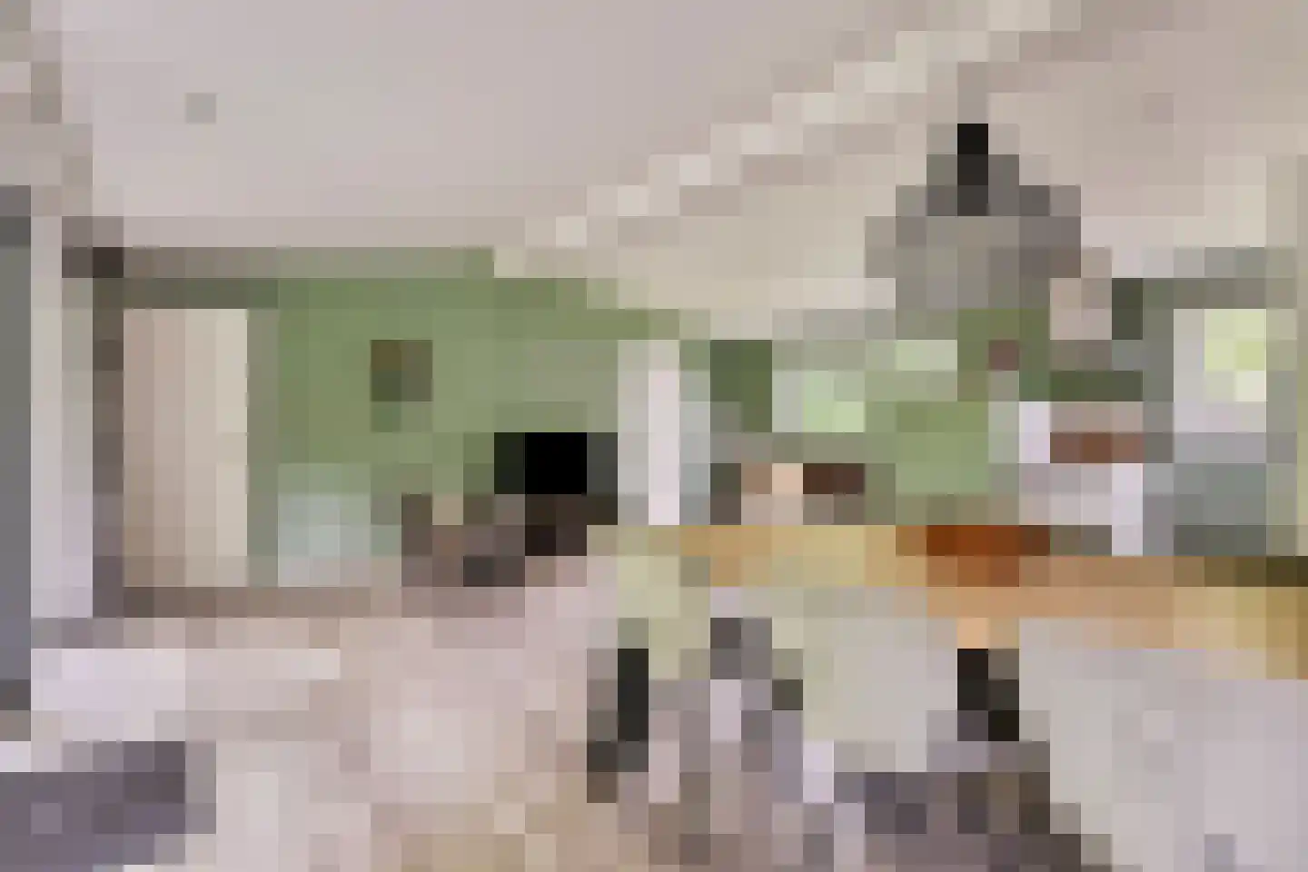 Nieuwe Veenendaalseweg 229 A2 Rhenen thumbnail 7