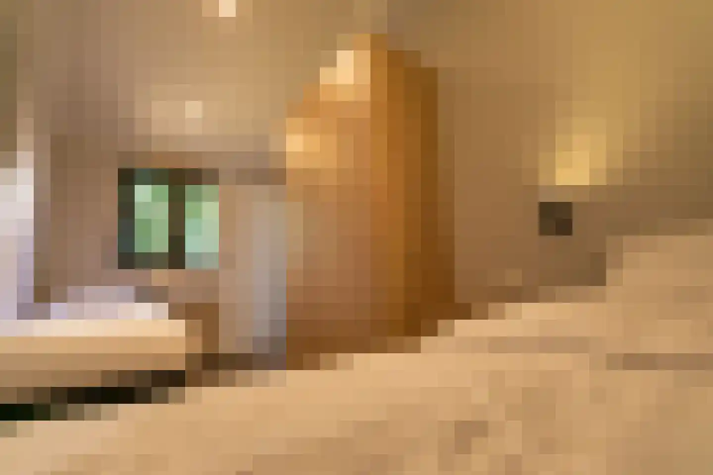 Nieuwe Veenendaalseweg 229 PL05 Rhenen thumbnail 13