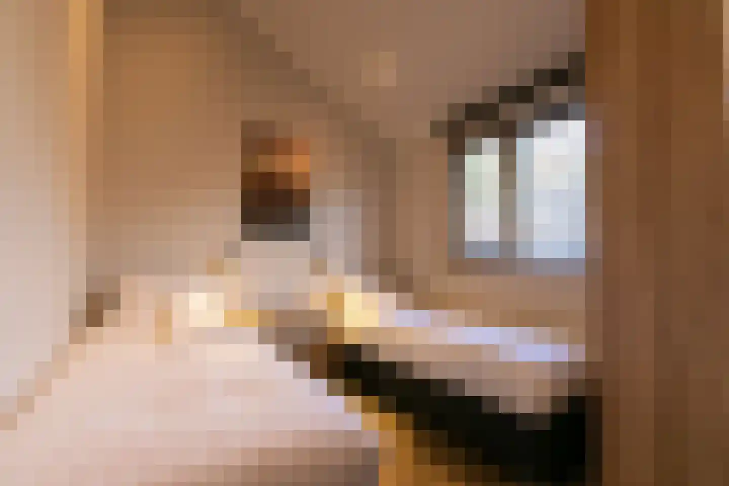 Nieuwe Veenendaalseweg 229 PL05 Rhenen thumbnail 16