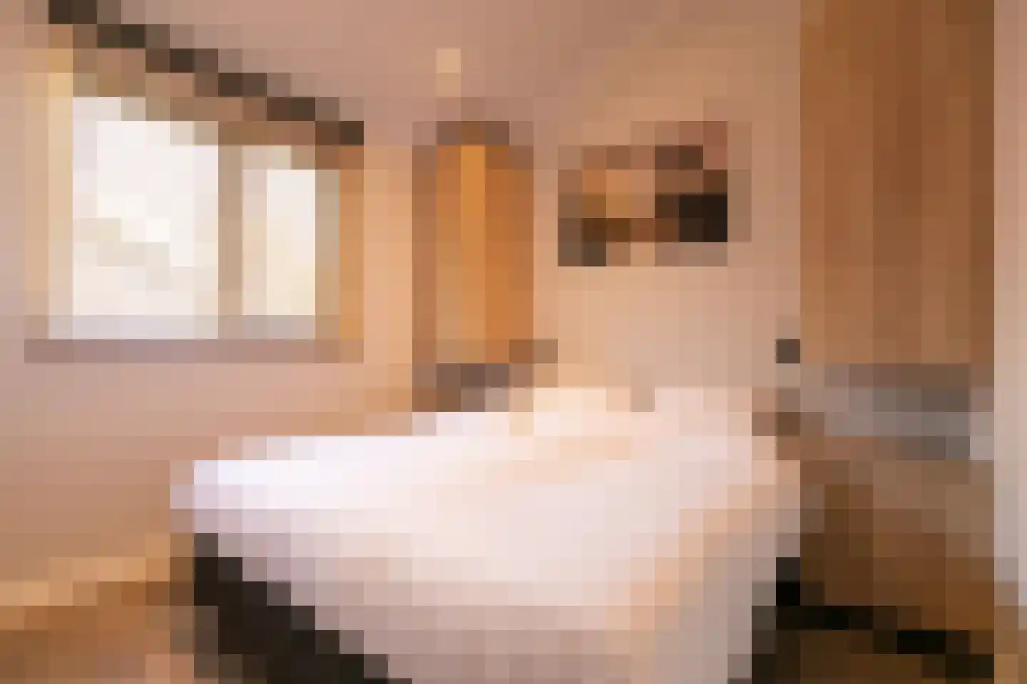 Nieuwe Veenendaalseweg 229 PL05 Rhenen thumbnail 17